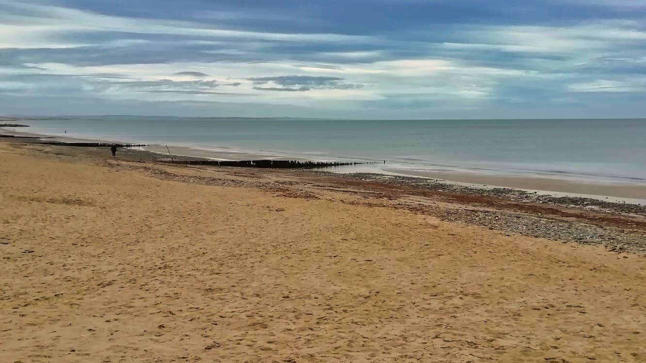 Rosslare Strand shoreline